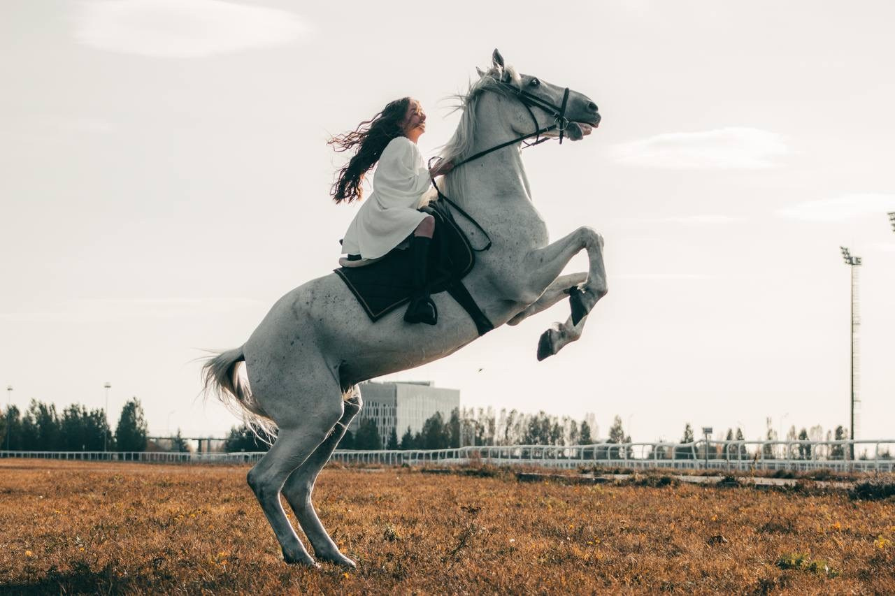 Дарья. RB-gymnastic