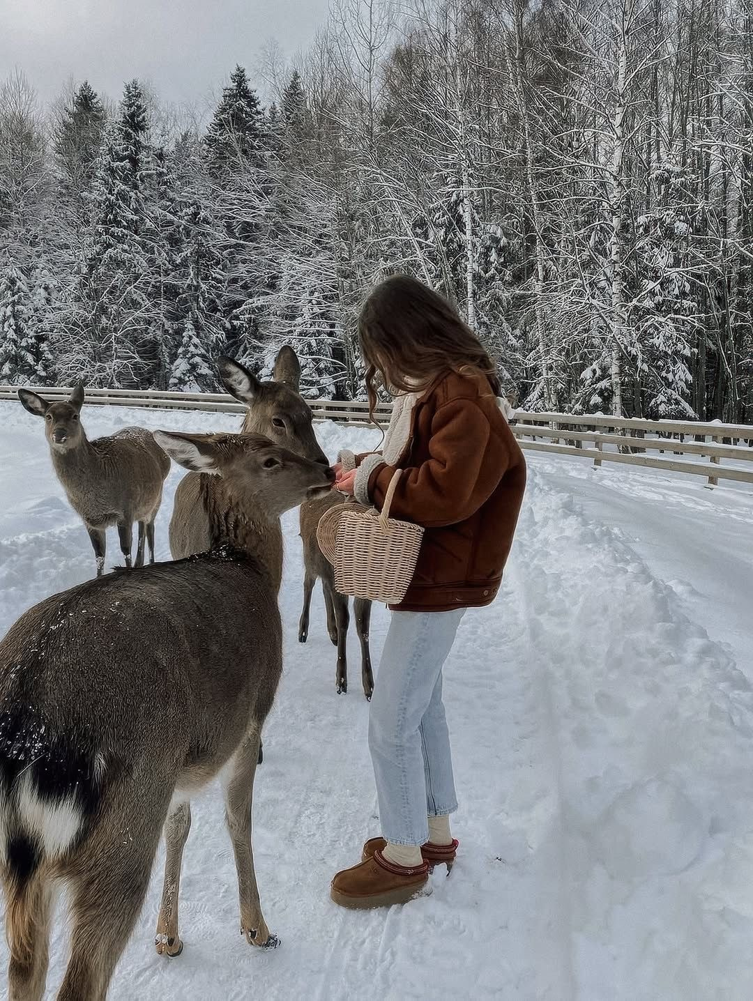 Карелия. YOUA TOURS