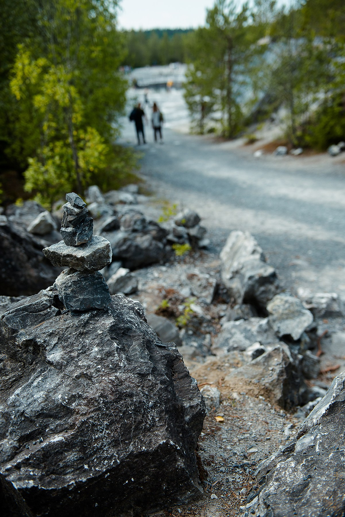 Карелия. Фотограф-анималист Наталья Светличная