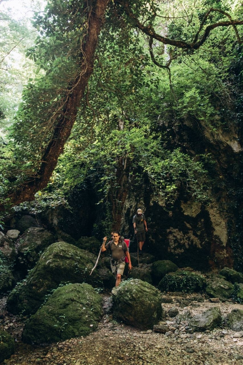 Биртвиси, Грузия 🇬🇪 «Honey Trip». Anita_photo