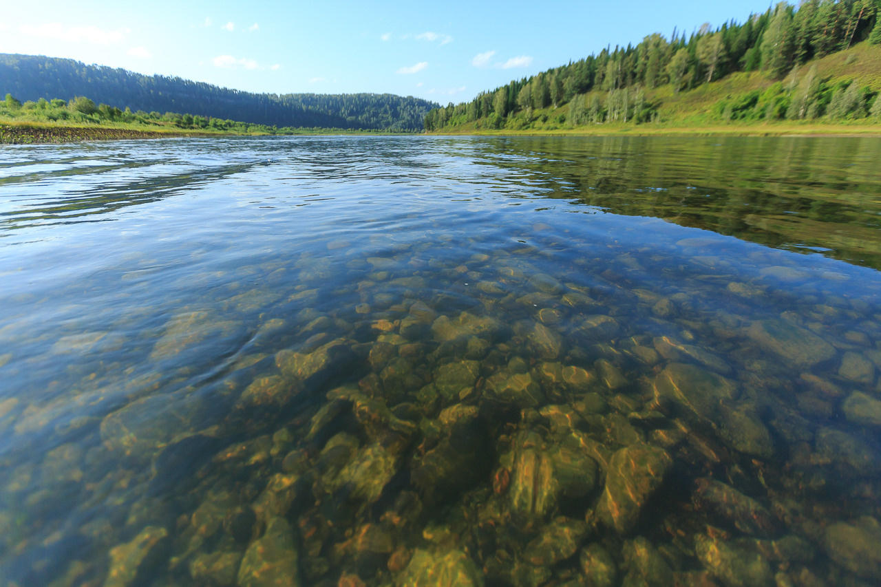 Природа. Семейный и детский фотограф, фотограф новорожденных в Новокузнецке Ири