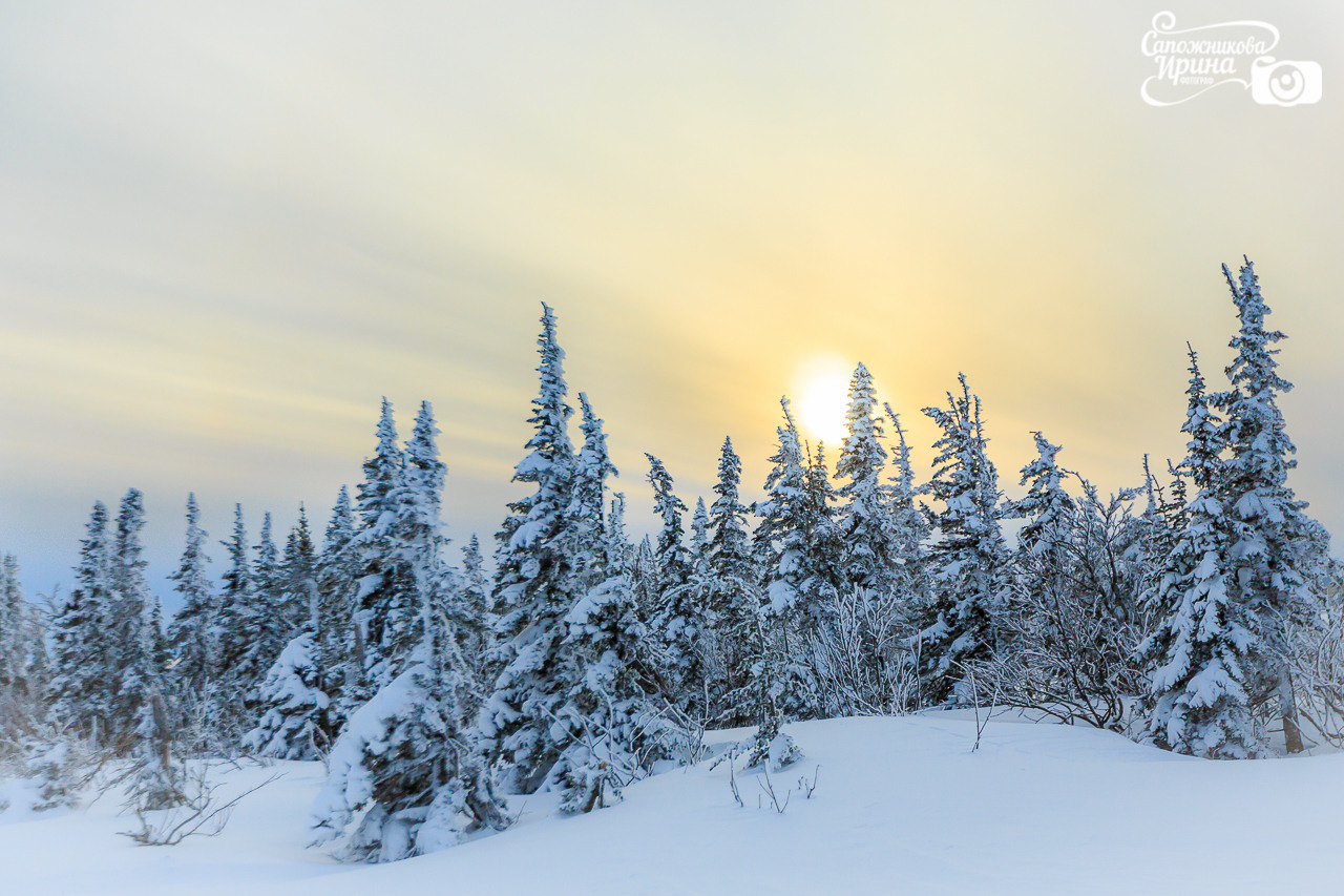 Природа. Семейный и детский фотограф, фотограф новорожденных в Новокузнецке Ири