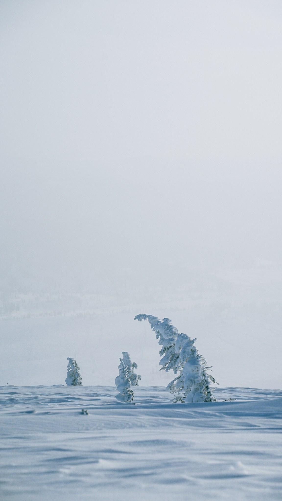 Приисковое. Человек с фотокамерой