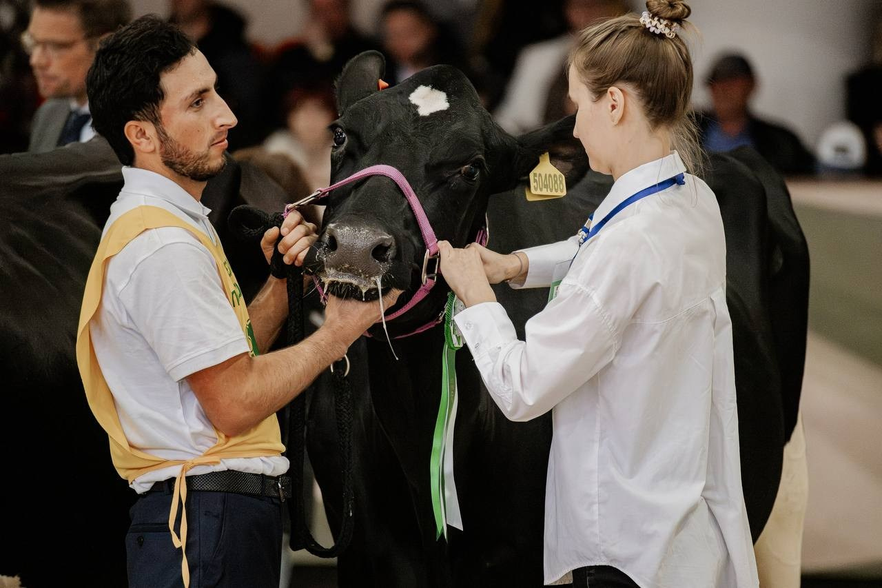 Звёзды Подмосковья — 2025. Куракина Дарья • Конный фотограф