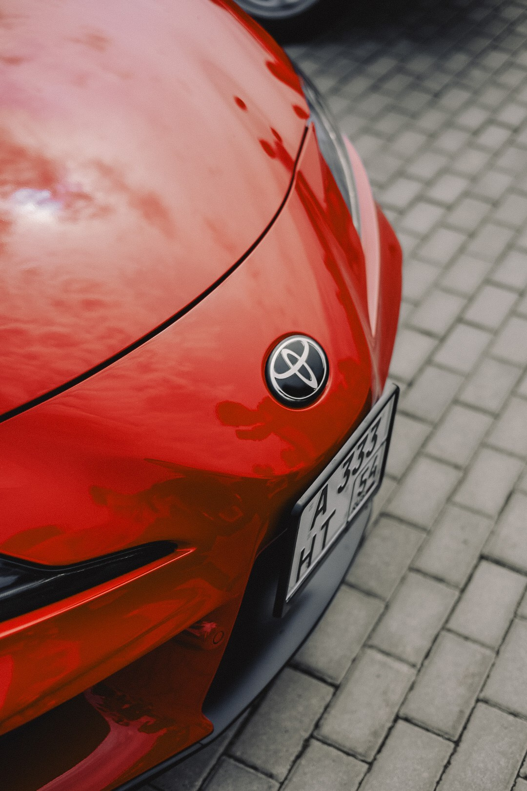 MIDDAY’2025. Семейный фотограф Полина Легачева