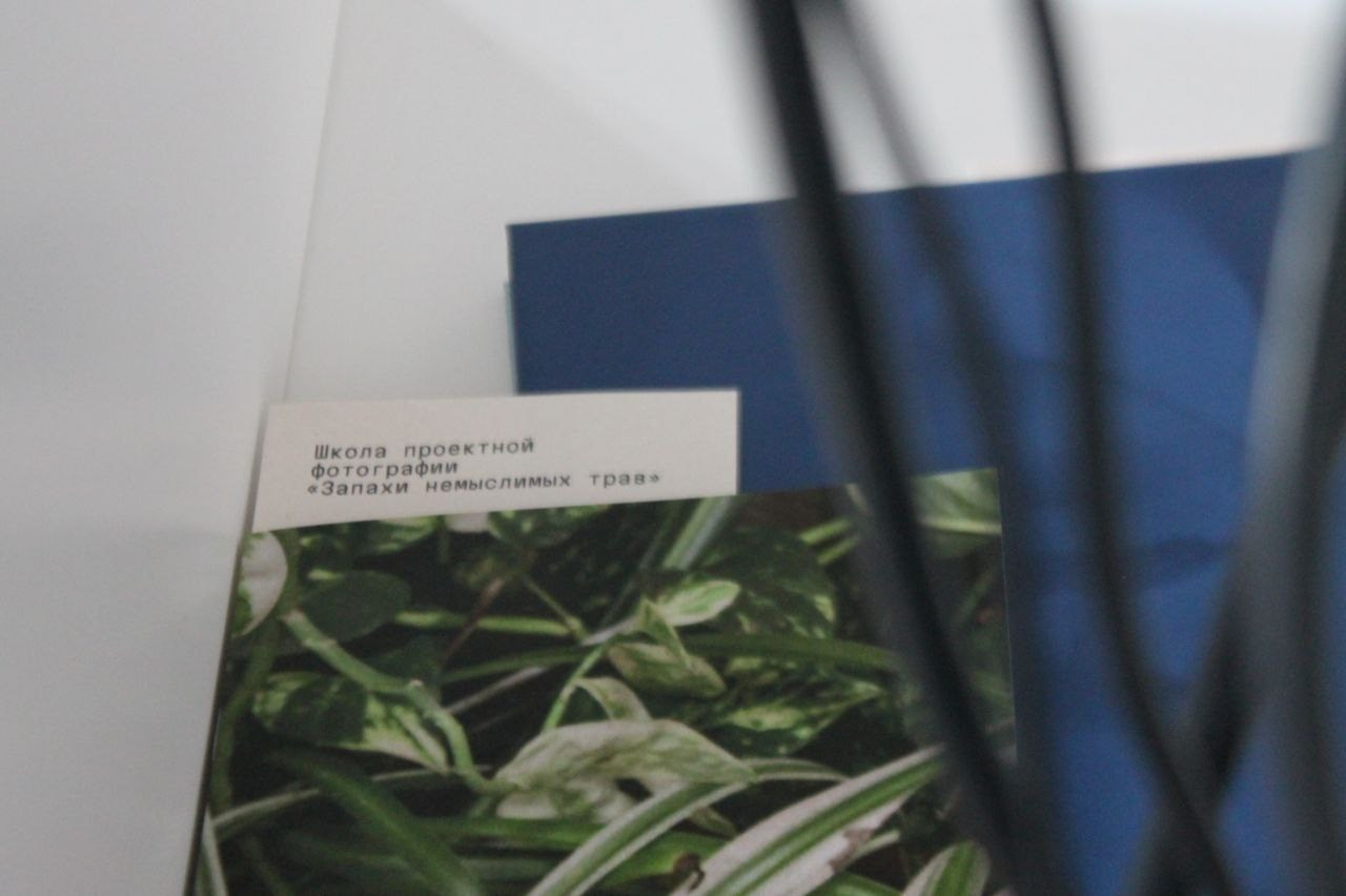 «Жердёла», зин-фестиваль, 26.07-04.08.2024, арт-пространство «Кислород», Ставрополь. Лера Круглова