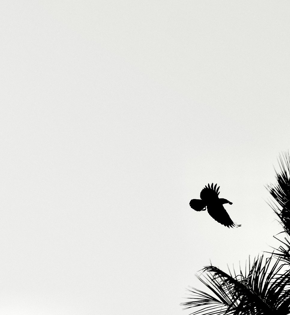 Фотограф Москва. Фотограф и художник в Москве Евгения Нюнина