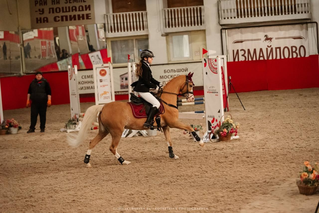 «КУБОК ИМЕНИННИКА» КСК «Измайлово». Конный фотограф Куракина Дарья • Фотосессии с лошадьми