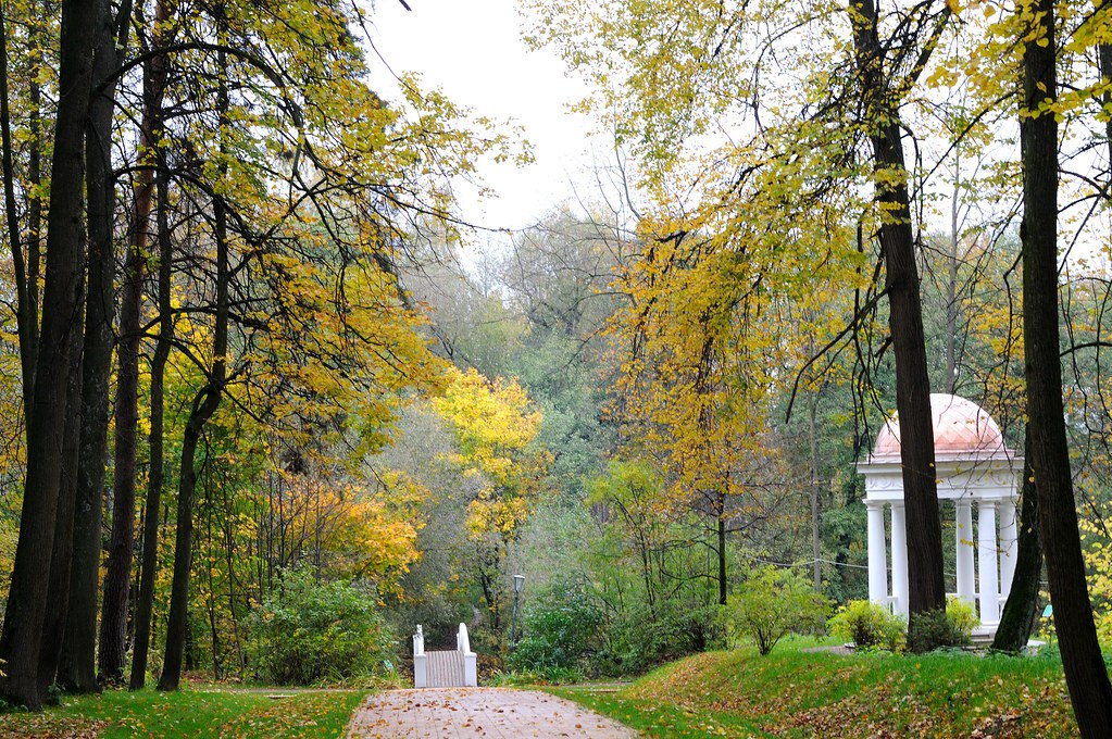 Регистрация брака и свадебная фотосессия в музее-заповеднике Остафьево. Свадебный фотограф Москва — Сергей и Татьяна