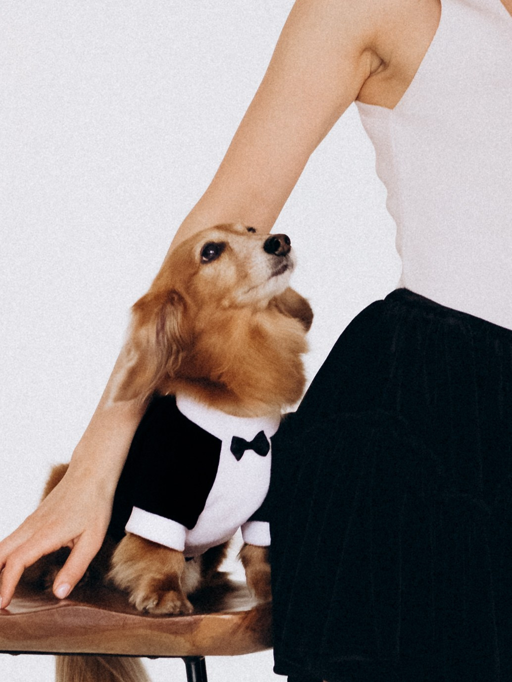 Лимон и Аня. Фотограф-анималист в Москве Кириллова Татьяна