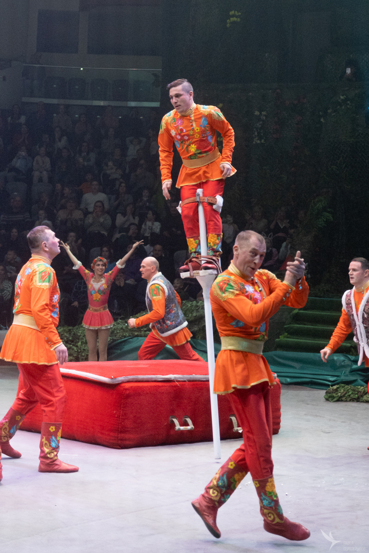 Новогодняя цирковая сказка «Морозко». Репортажный фотограф в Казани Павел Серпокрылов