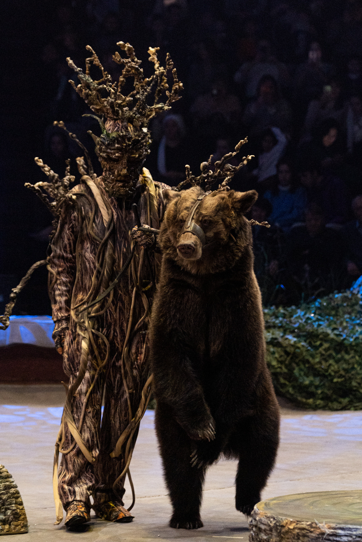 Новогодняя цирковая сказка «Морозко». Репортажный фотограф в Казани Павел Серпокрылов