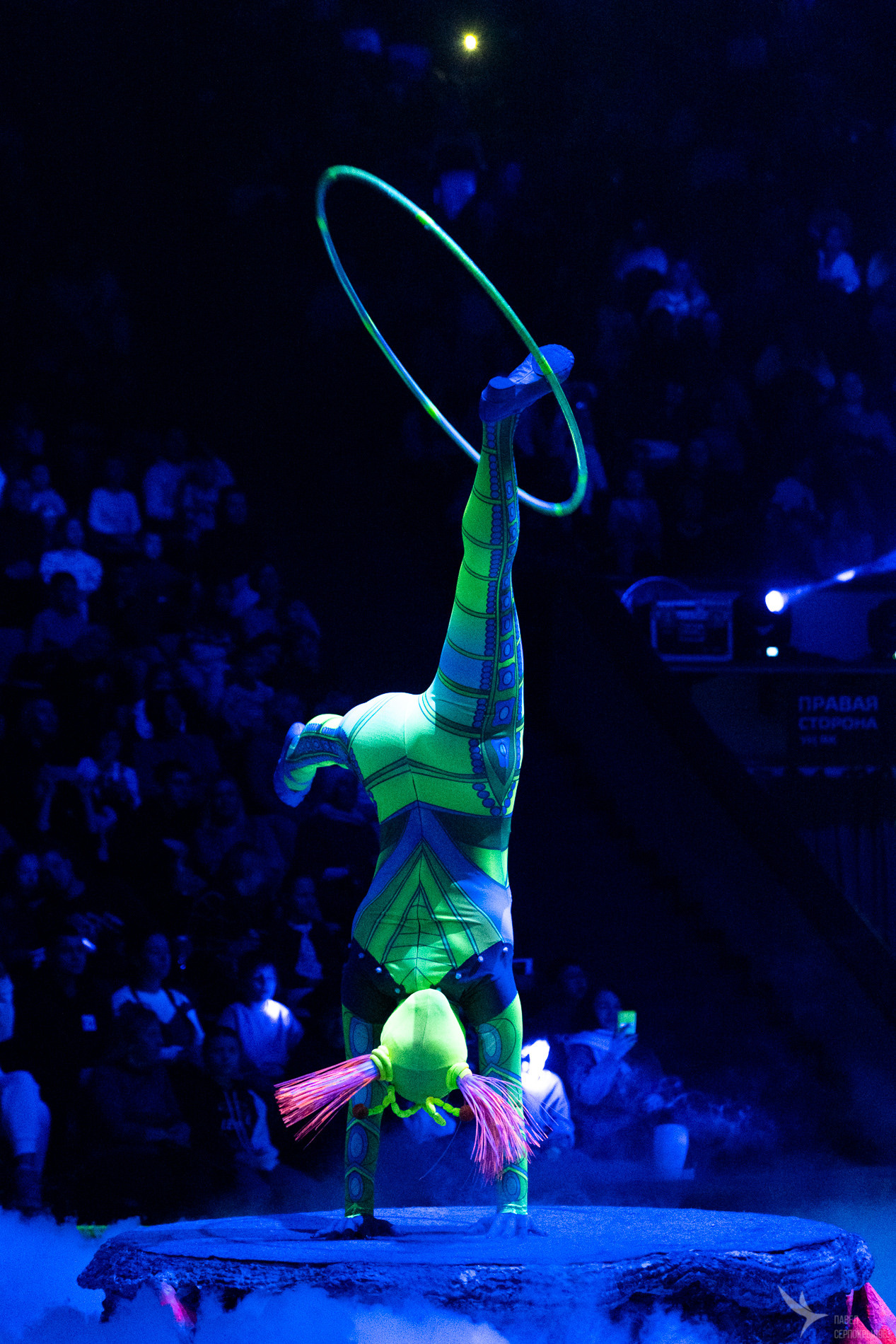 Новогодняя цирковая сказка «Морозко». Репортажный фотограф в Казани Павел Серпокрылов