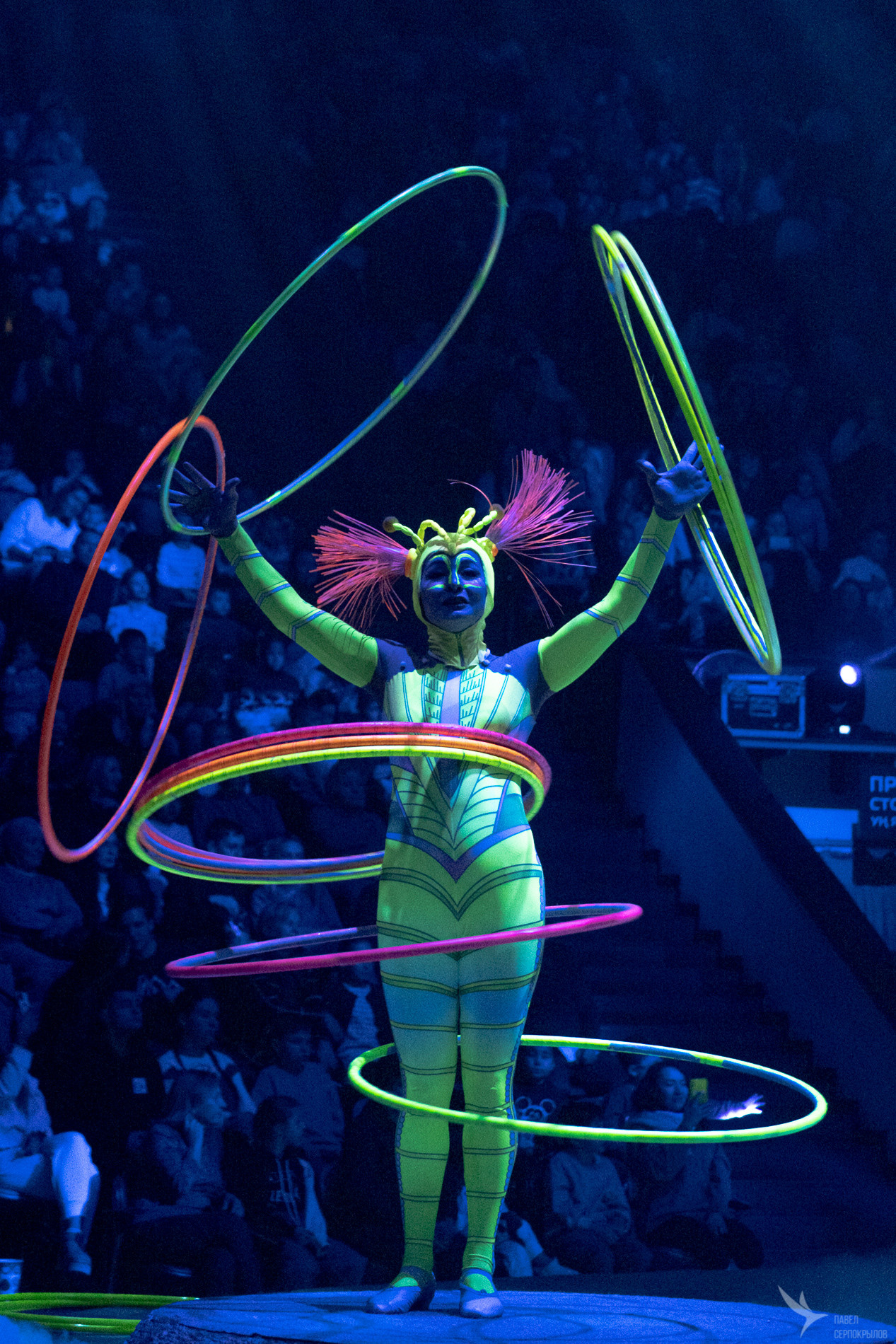 Новогодняя цирковая сказка «Морозко». Репортажный фотограф в Казани Павел Серпокрылов