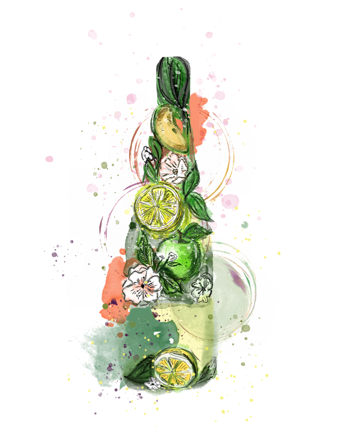 Иллюстрация, дизайнер москва, разработка дизайна, дизайнер Екатерина Лобачева, разработка иллюстраци