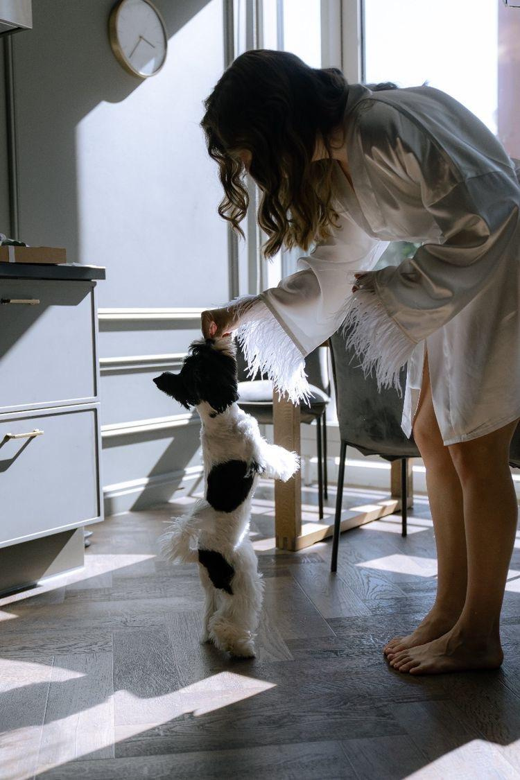 Вдохновение. Организатор Татьяна Осокина