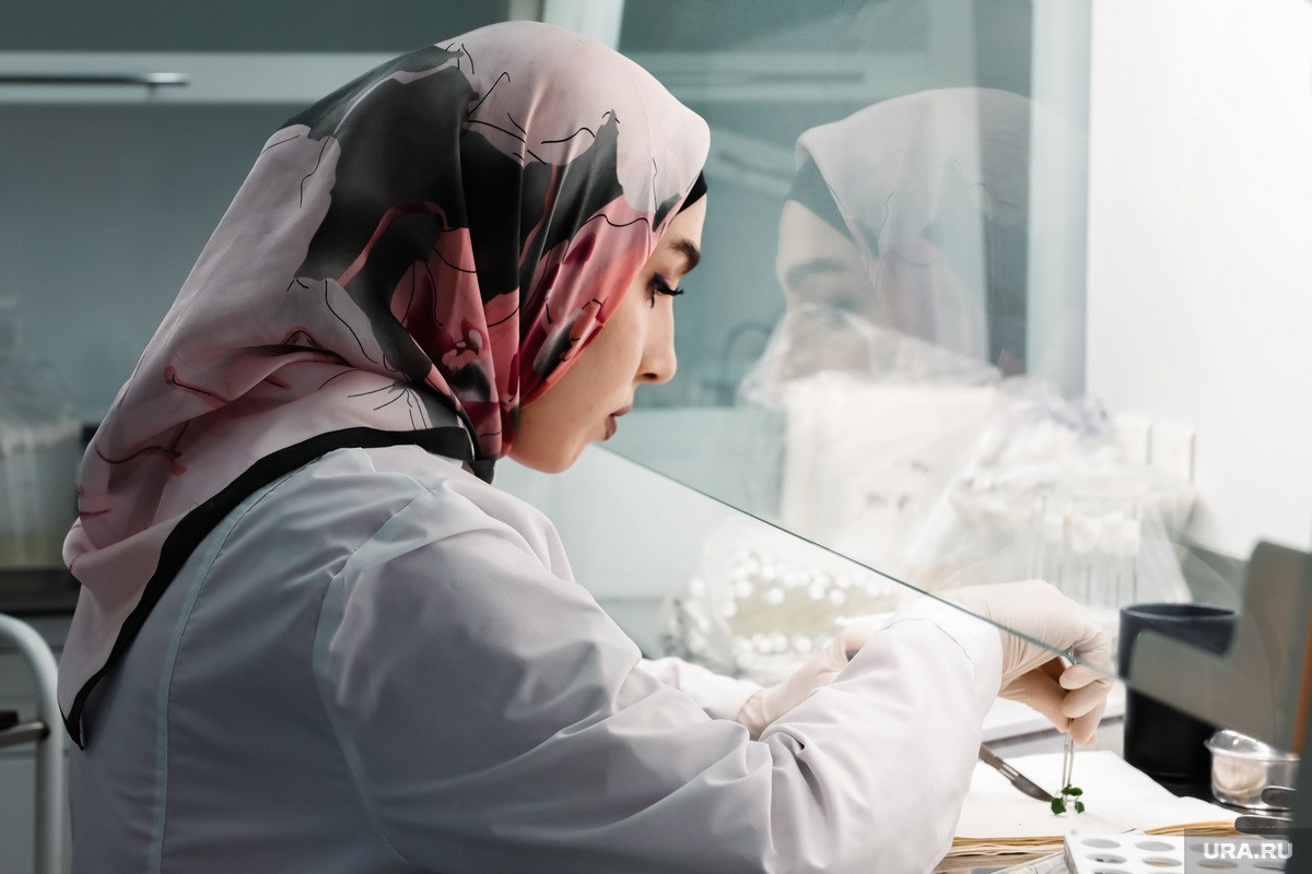 События, происшествия, повседневная жизнь. Роман Наумов профессиональный фотограф