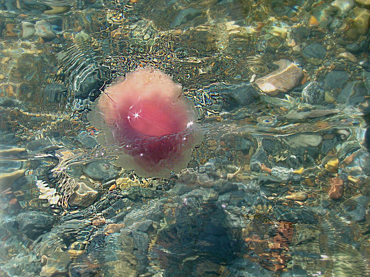 Репортаж. Фотограф в Санкт Петербурге Viktory_Get