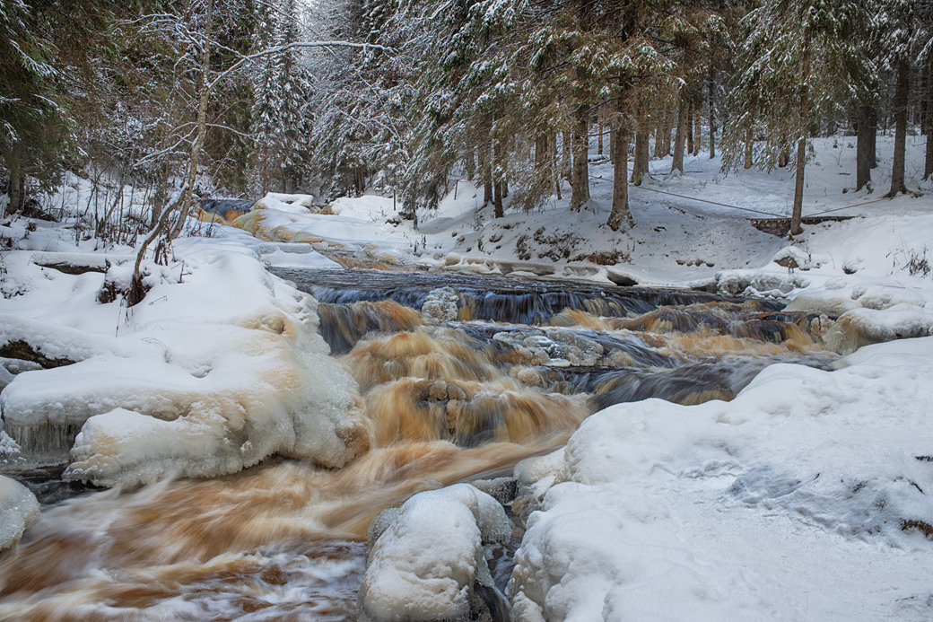 Репортаж. Фотограф в Санкт Петербурге Viktory_Get