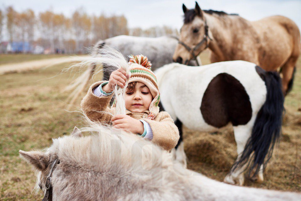 Стоковая и рекламная фотография. Фотограф Наиль Забайдуллин