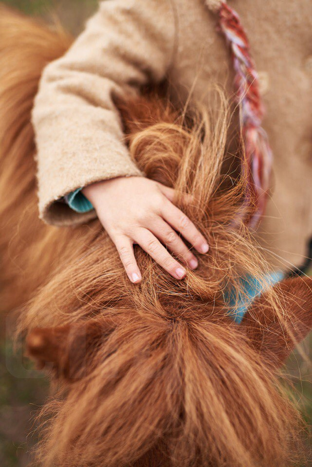Стоковая и рекламная фотография. Фотограф Наиль Забайдуллин