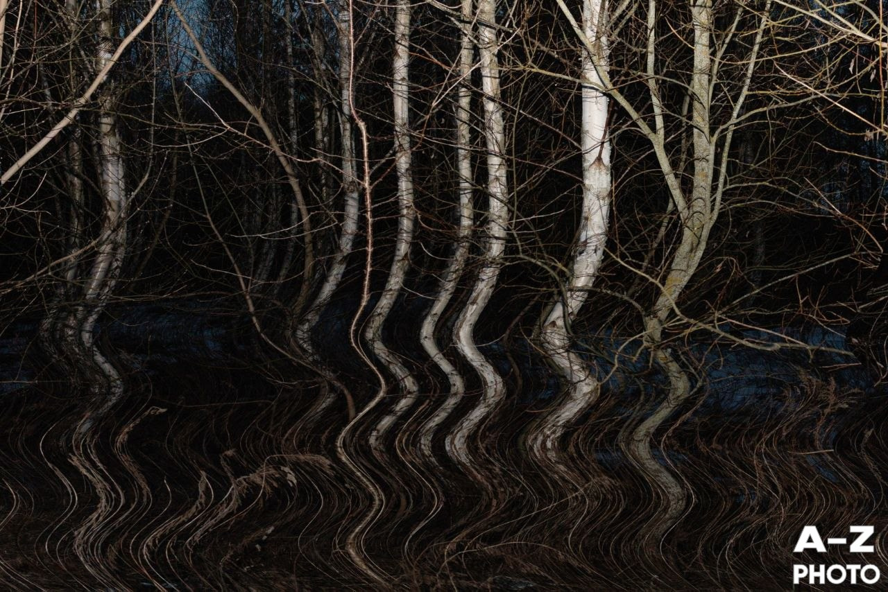 #ФОТОНЕДЕЛИ 23.03.2026. Женский семейный фотограф Тула Москва Захарова Анна