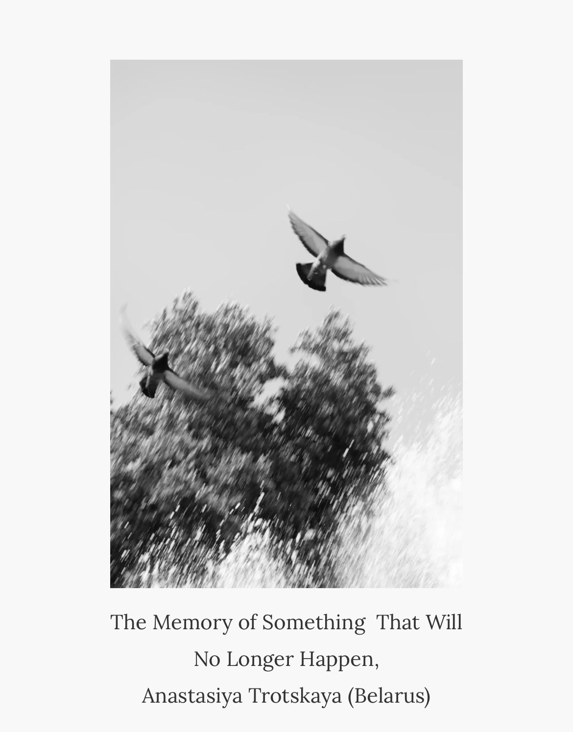 Выставочная история. Предметный фотограф в Минске Анастасия Троцкая