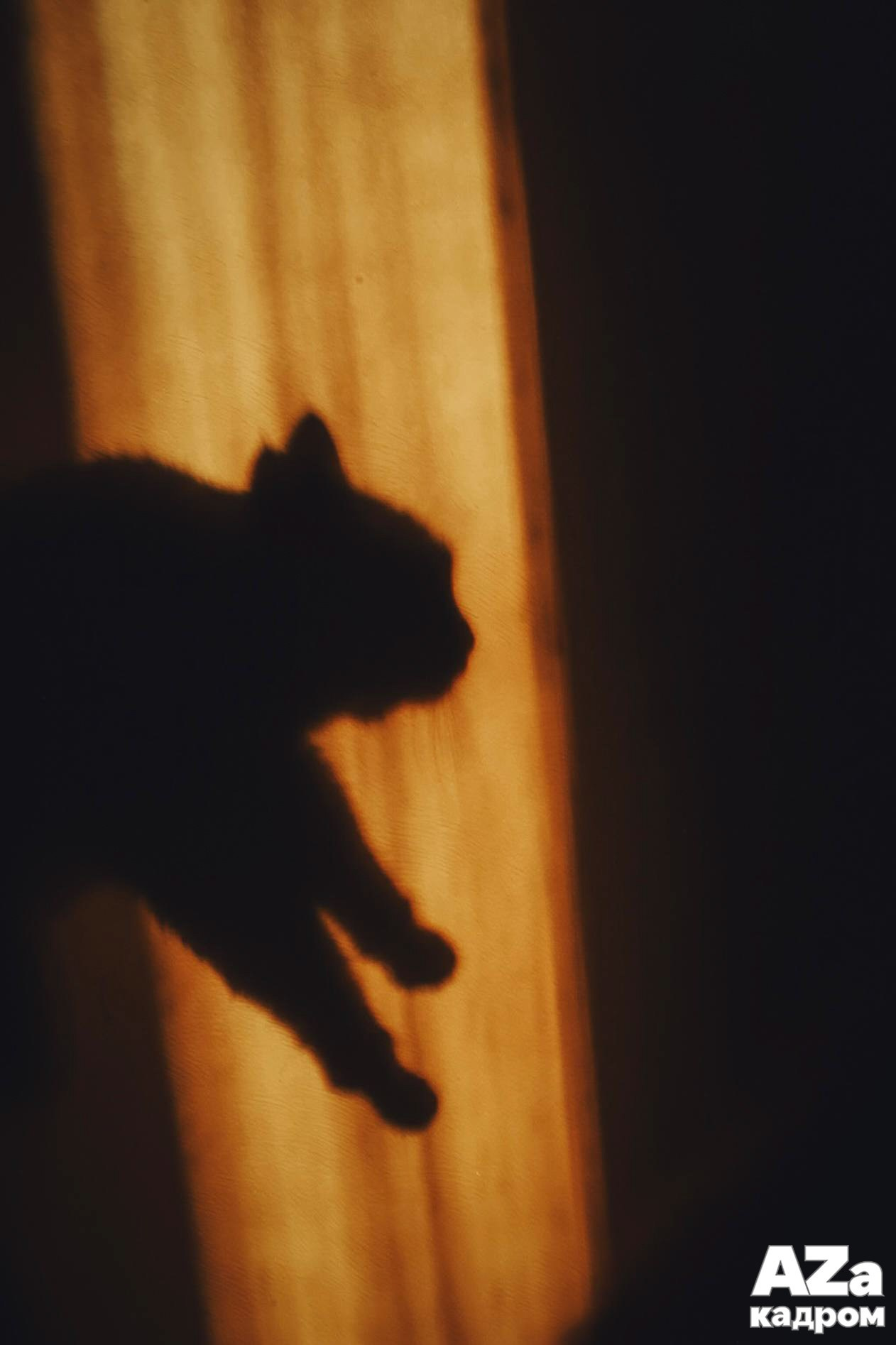 AZакадром «Что для меня дом». Женский семейный фотограф Тула Москва Захарова Анна