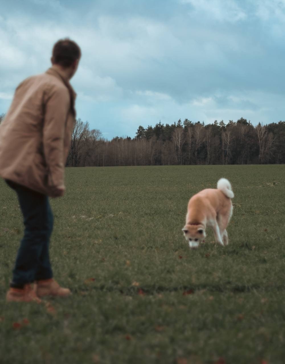 Лёша и верный друг Кейко. Ваш семейный фотограф в Минске — Вика Трегубова