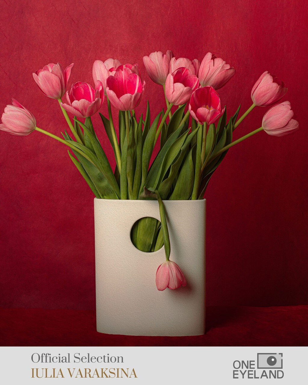 Мои успехи. Файн-Арт фотограф из Перми Вараксина Юлия