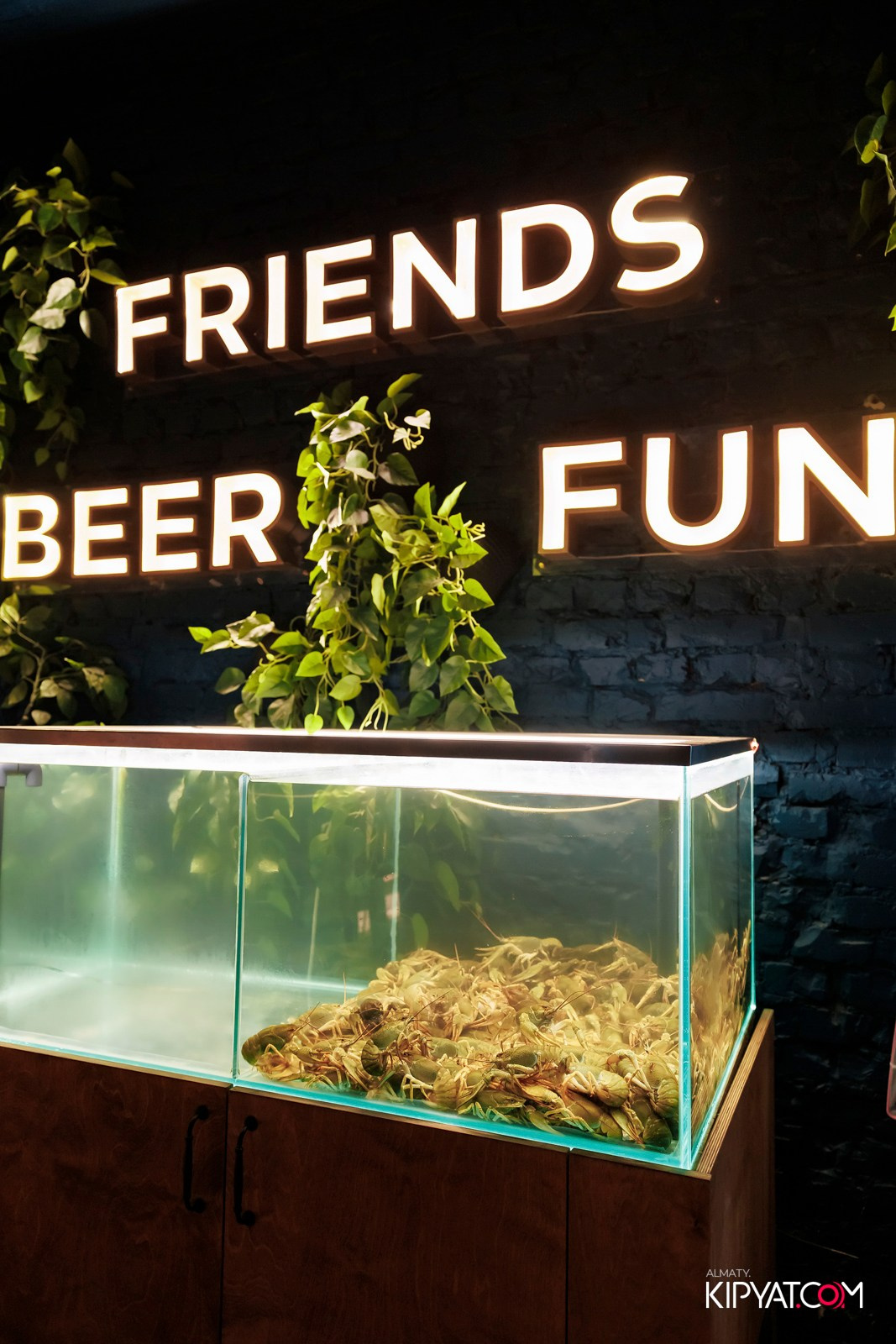 MUNCHEN PUB. КИПЯТКОМ АЛМАТЫ!