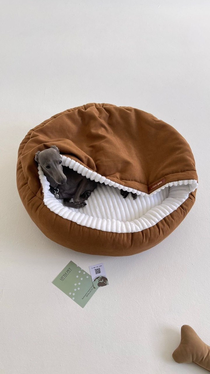 Сон и отдых. Профессиональный питомник левреток РКФ/FCI ASTI SAPPHIRE 💎 Сочи|Санкт-Петербург