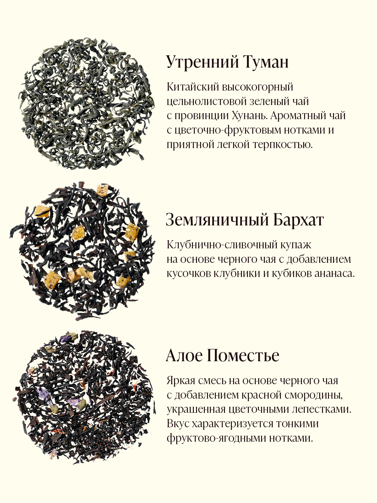 Наборы чая TEAFORIA. Разработка фирменного стиля, брендбука, логотипа (логобука), инфографика для маркетплейсов, Новосибирск