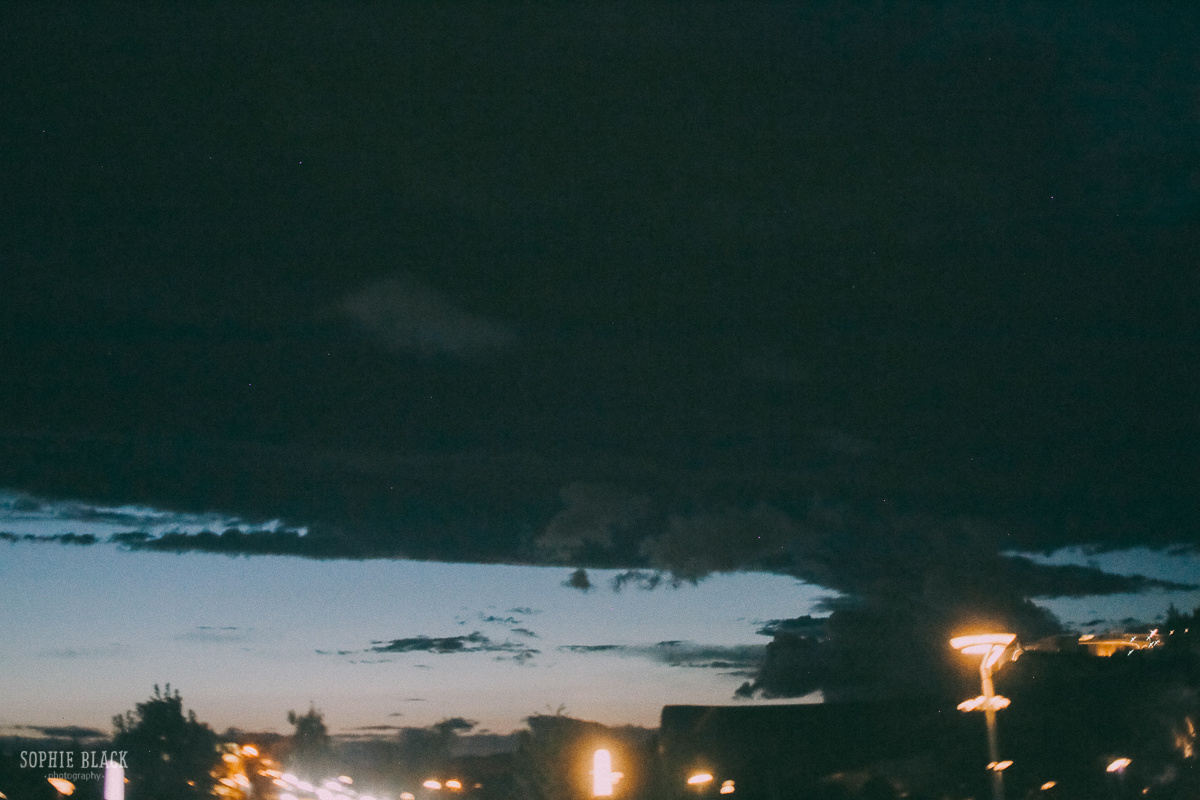 "тогда я стану ветром в твоих незаплетенных волосах". Соня Черных (sophieblack)