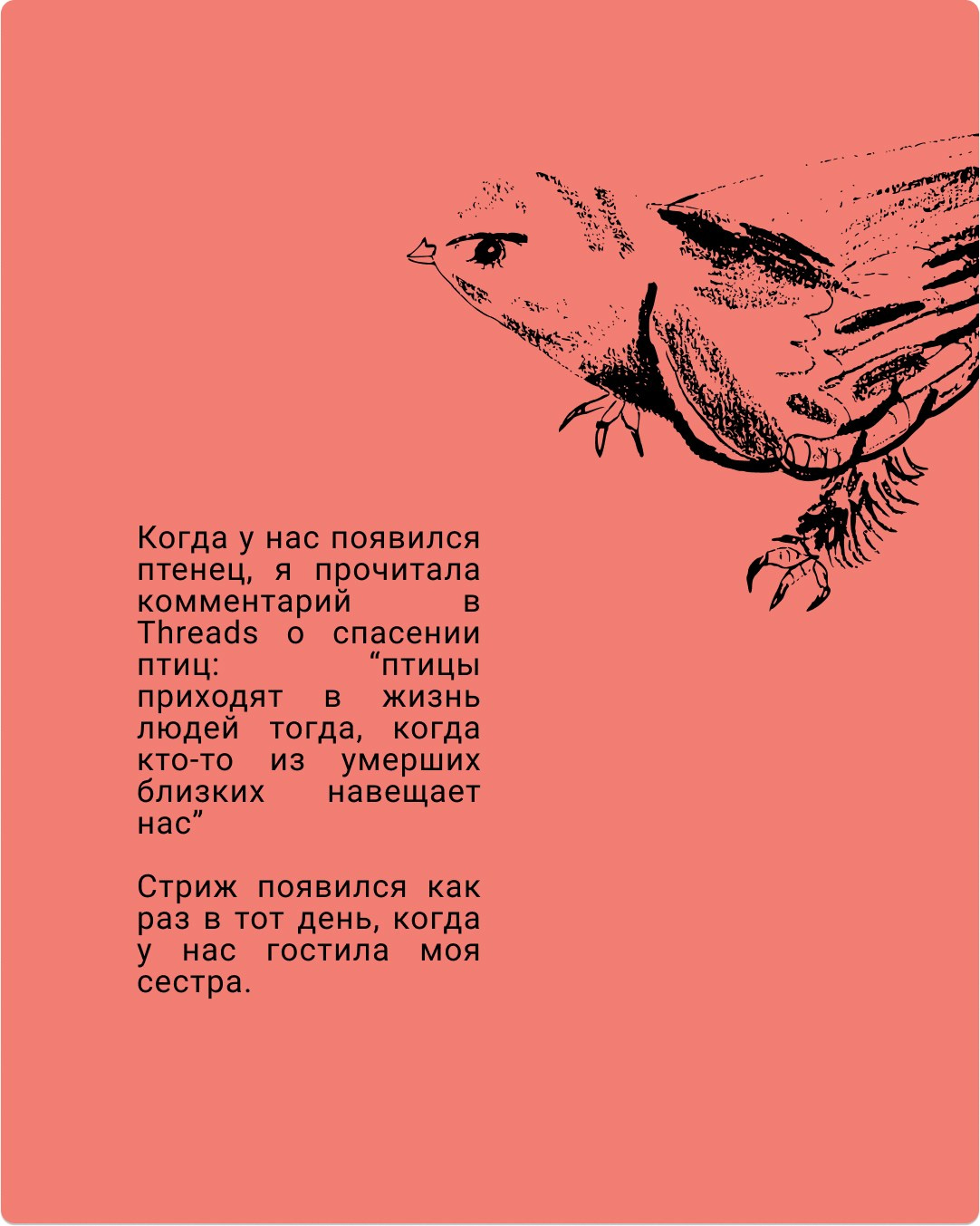 Portfolio. KST