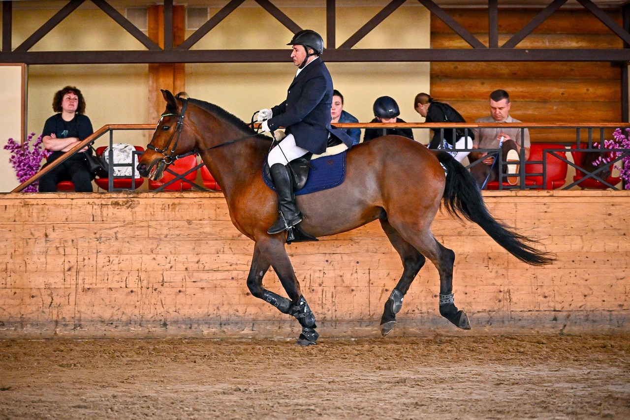 Отзывы. ТУРНИРНАЯ КОННАЯ ФОТОГРАФИЯ, Руднева Ольга и Евгений Адеев