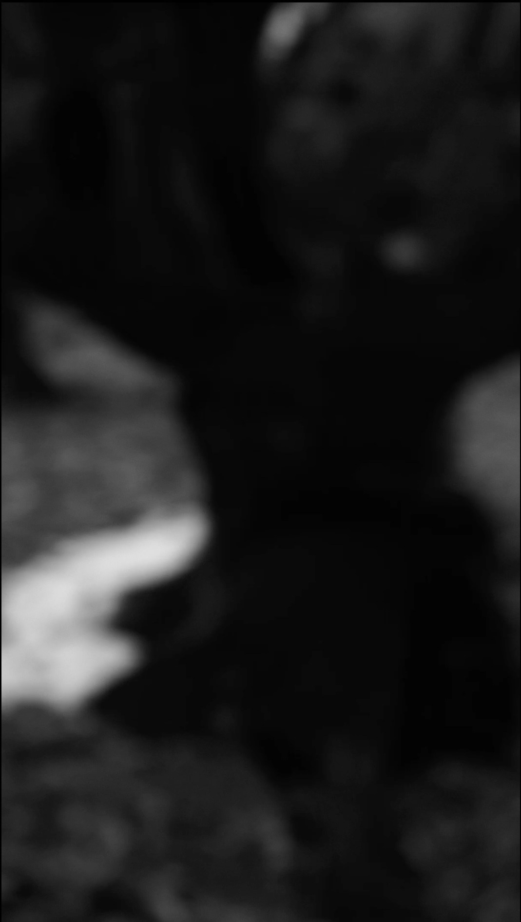 Ничего не было видно и приходилось прислушиваться. Художественная группа «Нежные Бабы»