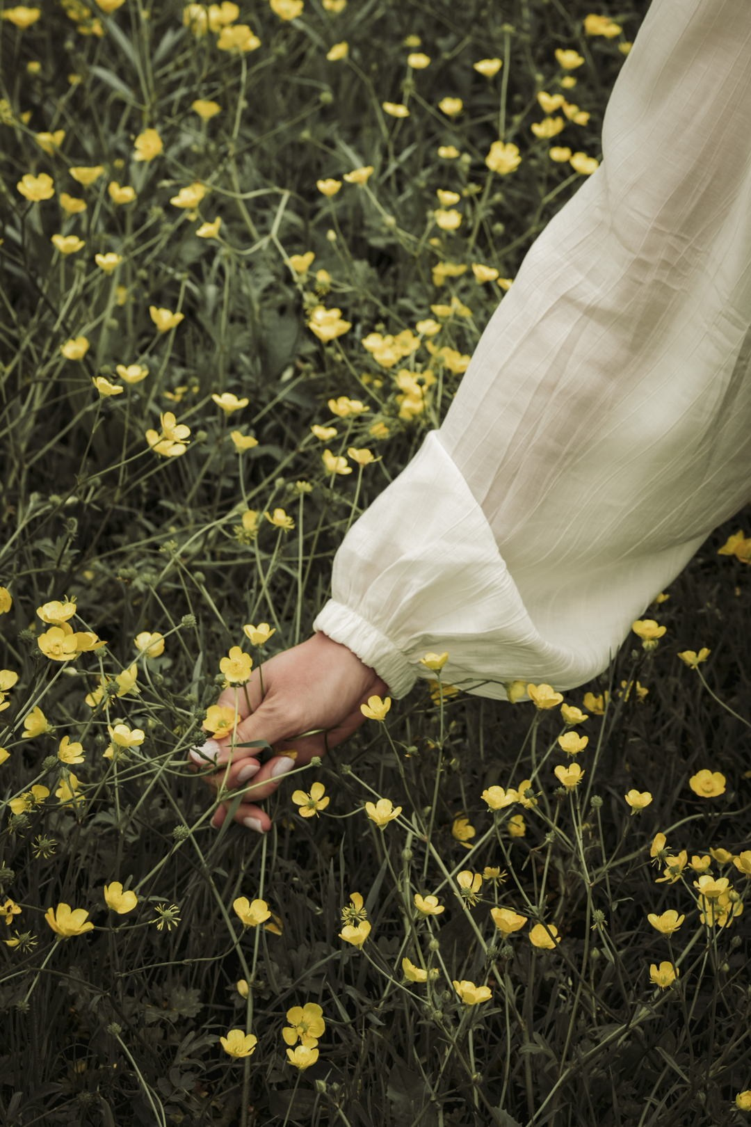 Фотосессия в окрестностях Геленджика — Western — фотограф Жанна Шестопалова