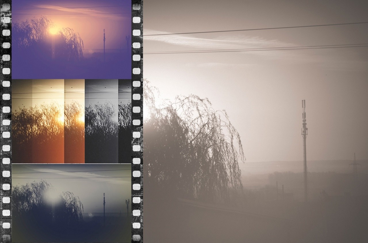 Дары Природы. Sreda fotoArt