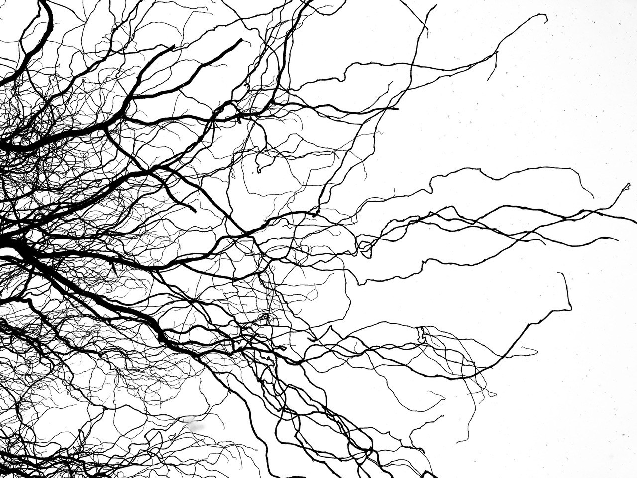 Реальная геометрия. Фотограф Евгений Андреев