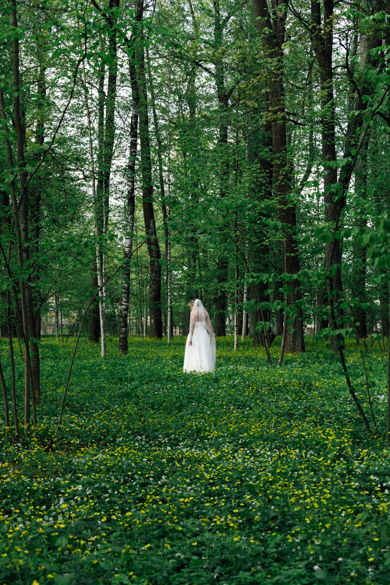 Свадьба. Фотограф в Санкт-Петербурге Гладкий Сергей