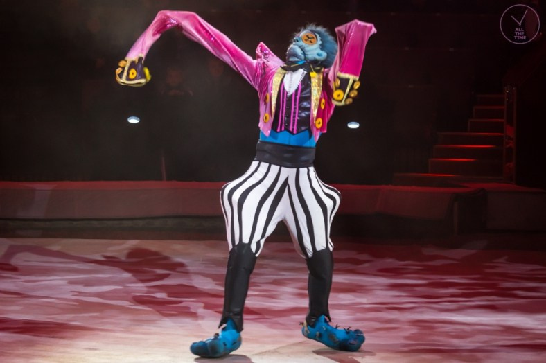 К.У.К.Л.А. Магия музыки в кадре: Концертная Фотография