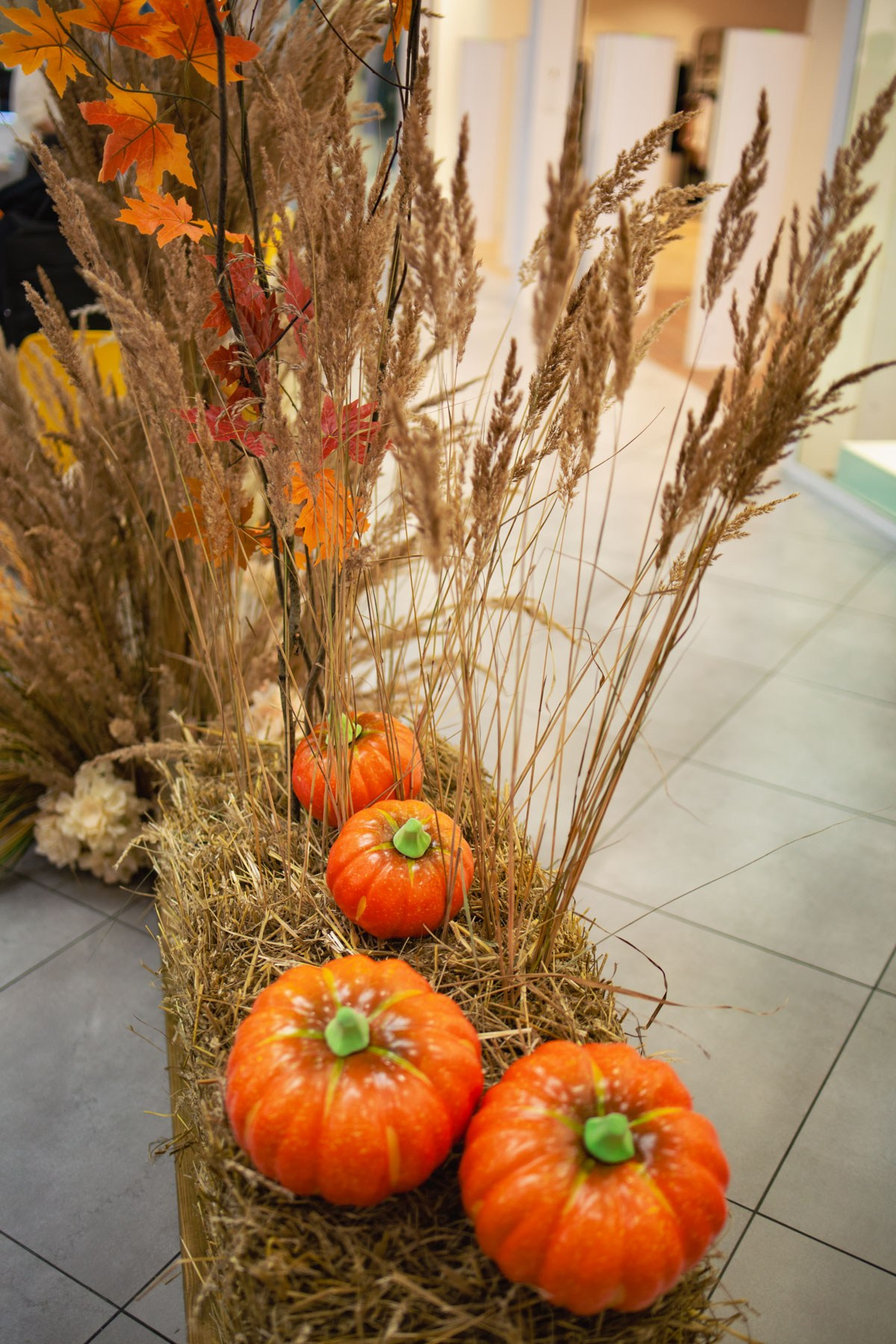 Осеннее чаепитие в ТЦ Хорошо!. Репортажный и концертный фотограф в Москве Анастасия Осень