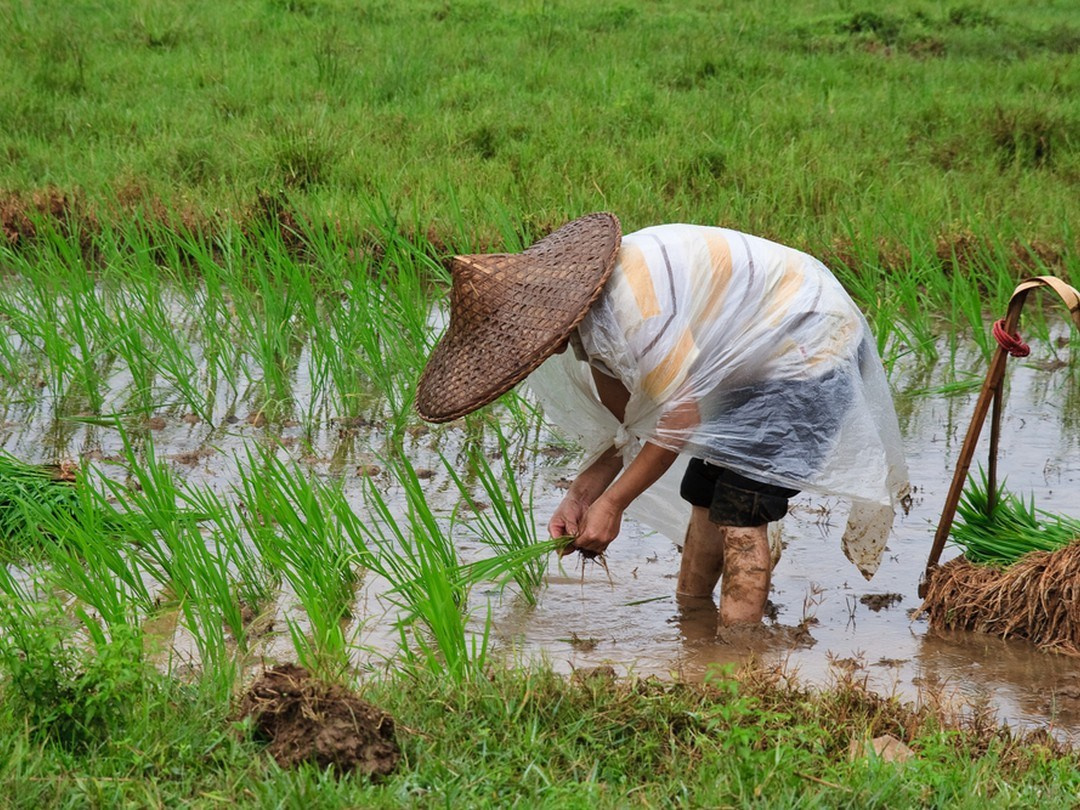 Гуанчжоу — Яншо — Дажай — Фэнхуан — Чжанцзяцзе. Семейный и детский фотограф Margo Photolab в Москве