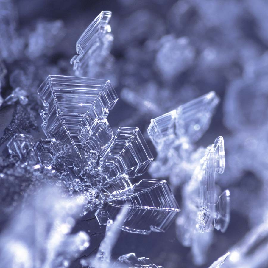 Работы учеников школы. Фотостудия Алматы. Фотосъемка Алматы. Фотосессия Алматы. Фотокурсы. Обучение фотографии. Аренда студии