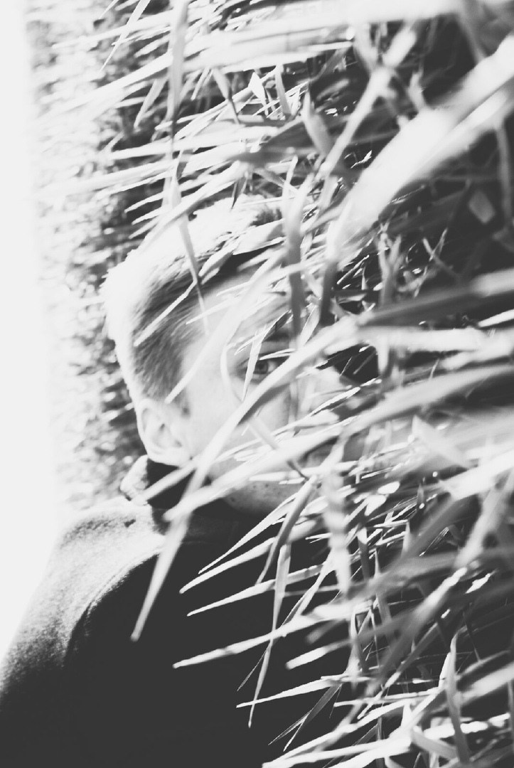 Влюбленные в жизнь