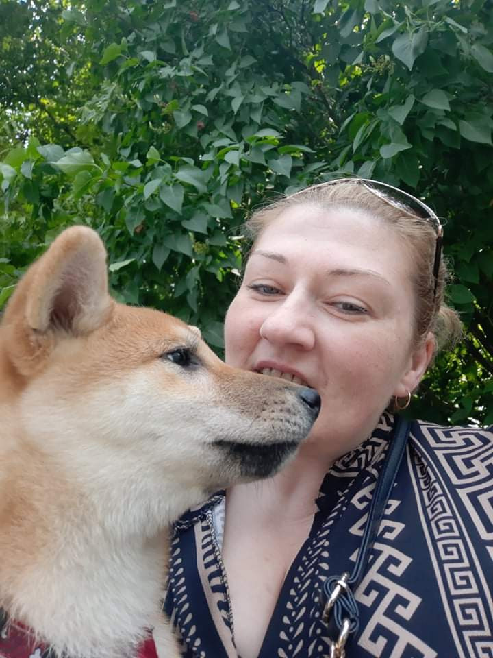 RUBYLIGHT JULY. AMERICAN AKITA RUBYLIGHT KENNEL I SHIBA-INU