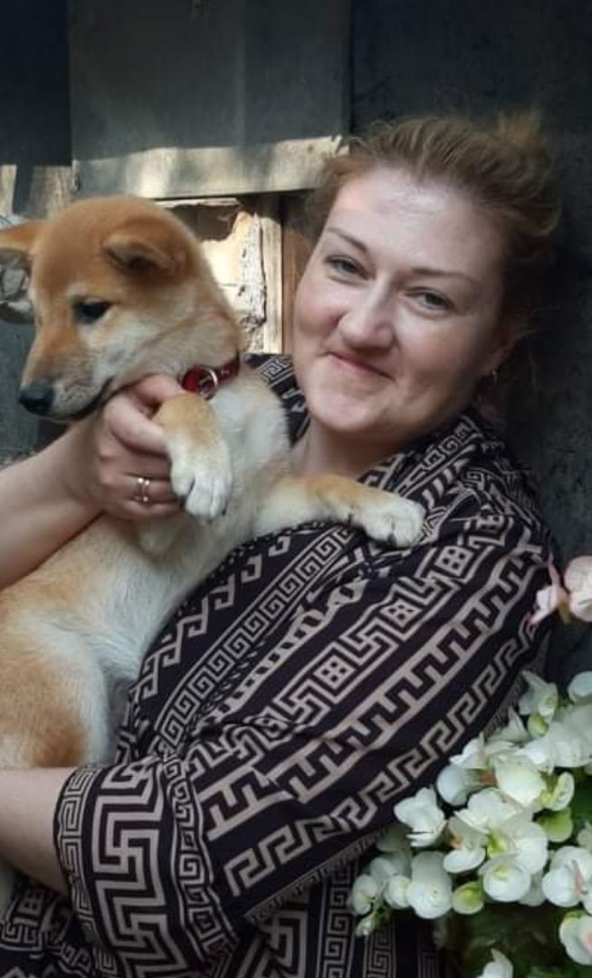 RUBYLIGHT JULY. AMERICAN AKITA RUBYLIGHT KENNEL I SHIBA-INU