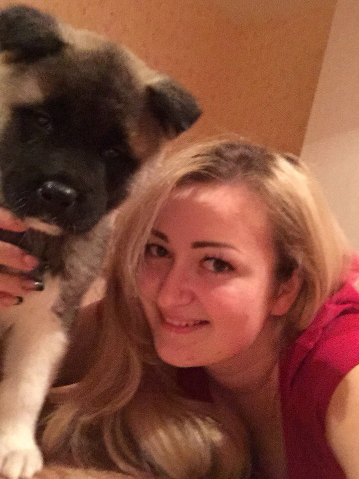 Svargas Dancing in the rain. AMERICAN AKITA RUBYLIGHT KENNEL I SHIBA-INU