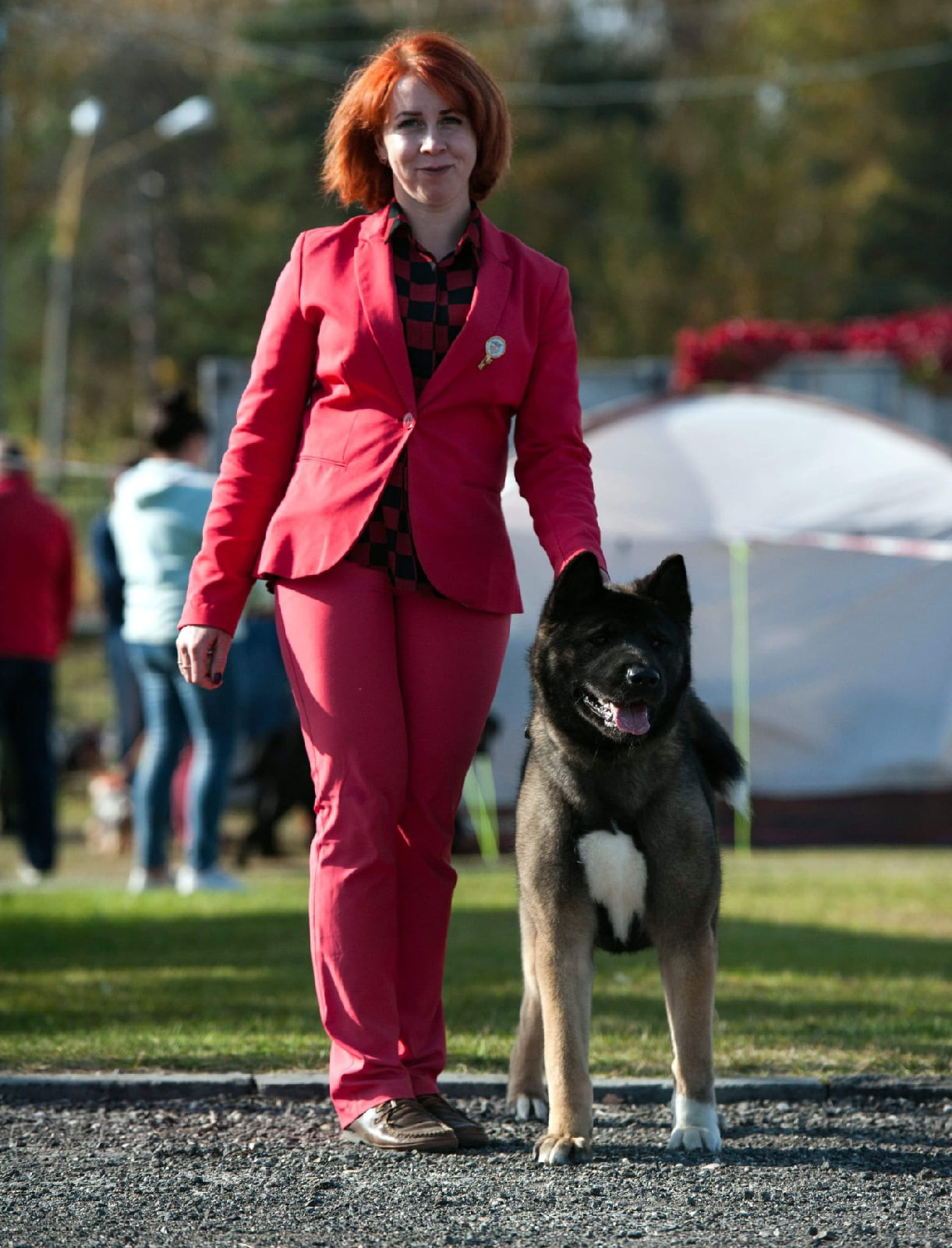 Exceligmos Ambra (Отец: Neypir Dzhemerdzhi GreatМать: Wild Rose) Американская Акита питомник RUBYLIGHT Санкт-Петербург